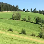 Traumblick Dachstein *