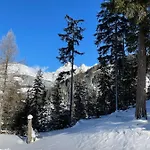 Διαμέρισμα Traumblick Dachstein Radstadt