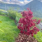 Διαμέρισμα Traumblick Dachstein *