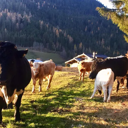Traumblick Dachstein Apartman