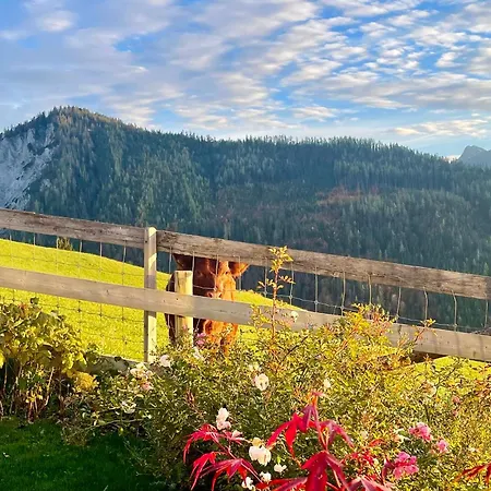 Traumblick Dachstein * رادستادت