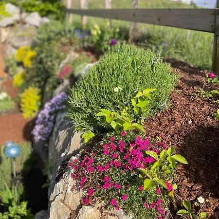 Апартаменты Traumblick Dachstein