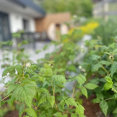 Traumblick Dachstein Radstadt