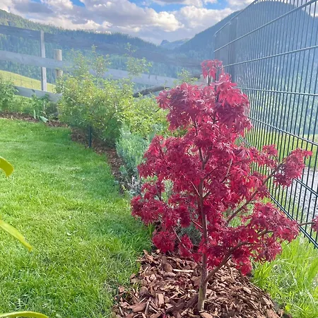 Apartmán Traumblick Dachstein *