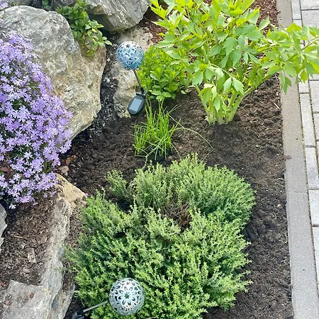 Traumblick Dachstein Apartmán Radstadt