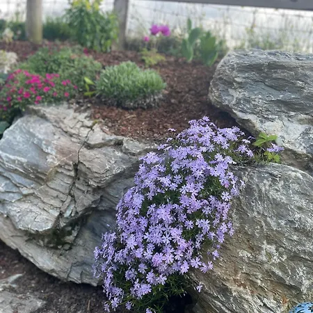 Traumblick Dachstein Apartmán Radstadt