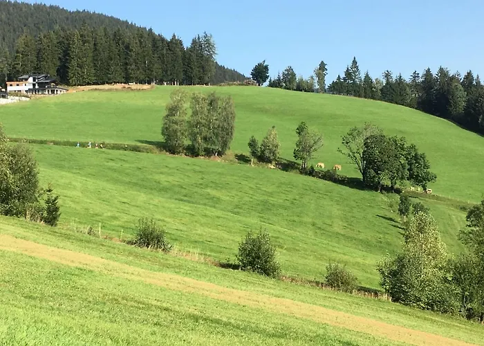 Traumblick Dachstein *