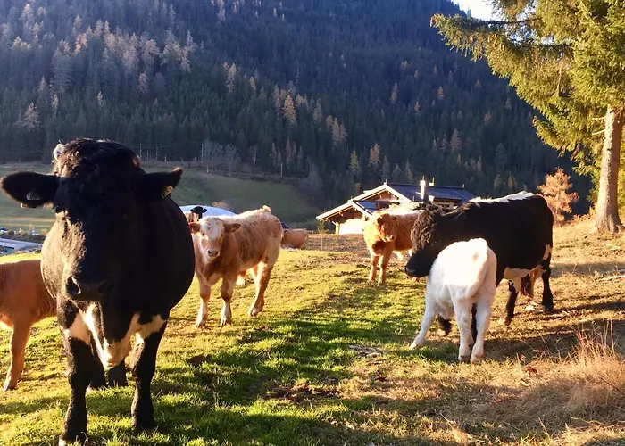 Traumblick Dachstein شقة