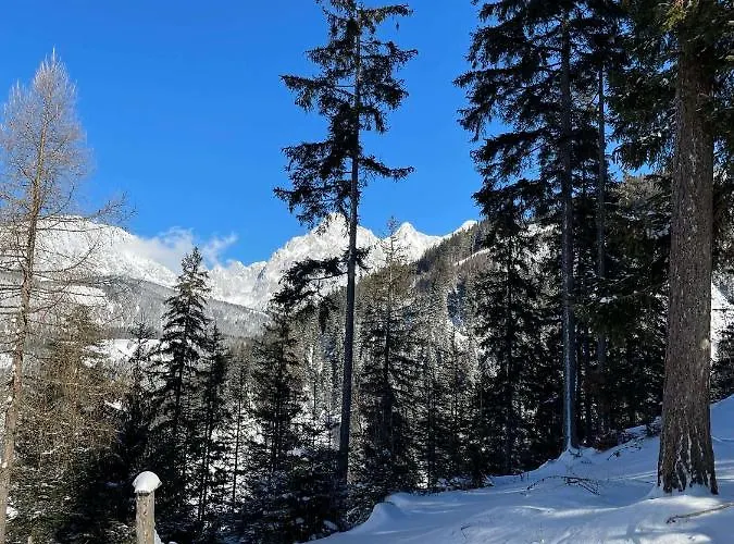 Апартаменты Traumblick Dachstein Радштадт