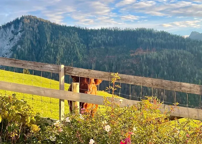 Traumblick Dachstein * رادستادت