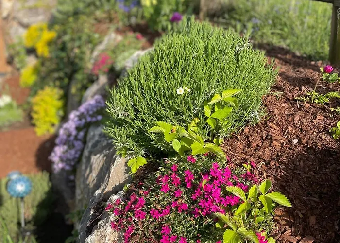 شقة Traumblick Dachstein