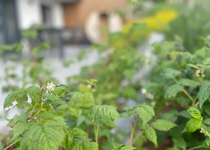 Traumblick Dachstein Радштадт