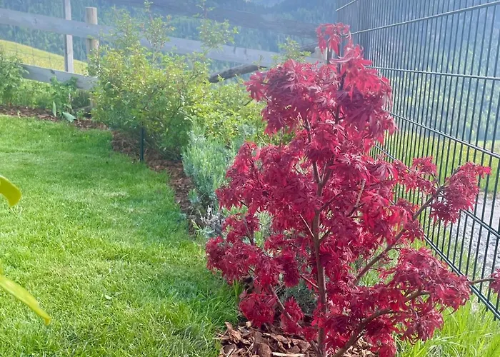 Апартаменты Traumblick Dachstein *