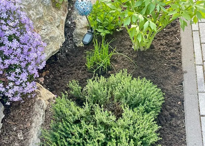 Traumblick Dachstein شقة رادستادت