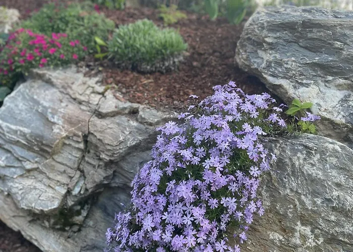 Traumblick Dachstein Апартаменты Радштадт