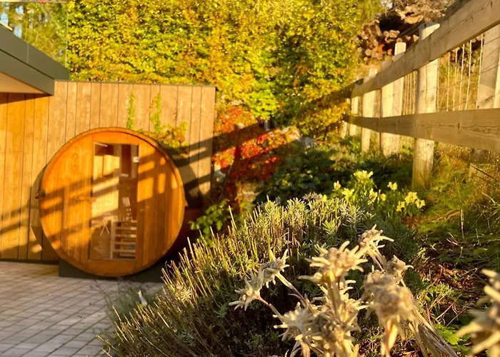 Апартаменты Traumblick Dachstein *